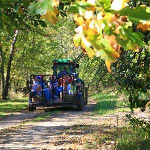 Fall wagon rides at Peckham's Pumpkin Patch in Rantoul, KS